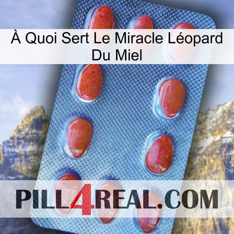 À Quoi Sert Le Miracle Léopard Du Miel 06
